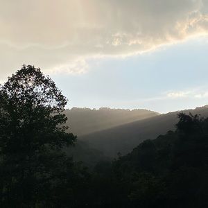 Meet your Posher, Johnna